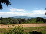 P1000712.jpg