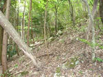 P1020159.jpg