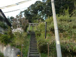 ishiyougai.jpg