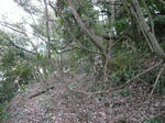 ishiyougai03.jpg