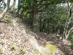 shinyama0031.jpg