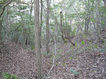 takakoya001.jpg