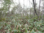 takakoya002.jpg