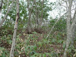 takakoya003.jpg