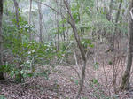 takakoya004.jpg