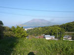 yuukagesakurajima.jpg