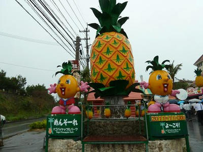 P1010745.jpg