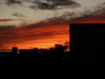 P1010926.jpg