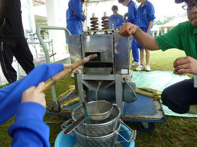 P1010990.JPG