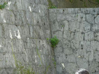 P1020229.JPG