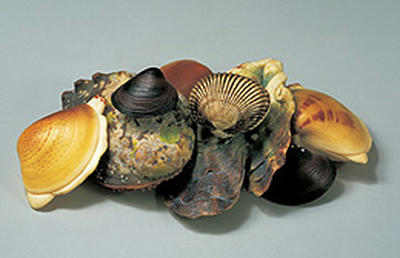 FI2621691_1E.jpg