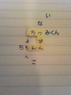 Image574100010001000100010001.jpg