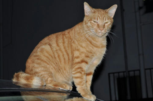 DSC_1191.jpg