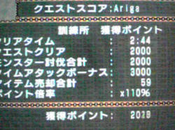 446.jpg