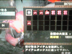 566.jpg