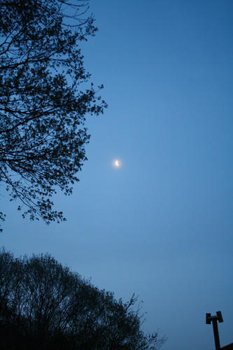IMG_2626_R.JPG