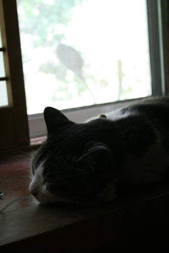 IMG_3509_R.JPG