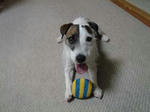 DSC09000.jpg