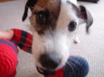 DSC00168.jpg
