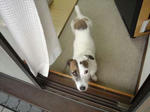 DSC00222.JPG