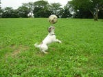 DSC00234.JPG