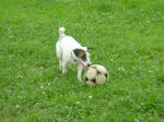 DSC00239.JPG