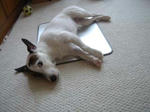 DSC00487.JPG