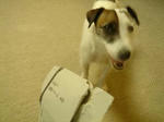 DSC00524.JPG