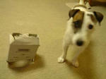 DSC00525.JPG