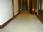 8466f296.JPG