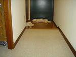 DSC00702.JPG