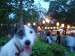 DSC00733.JPG