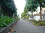 DSC01105.JPG