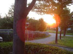 DSC01115.JPG