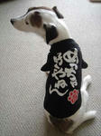 DSC01127.jpg