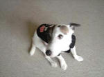 DSC01128.JPG