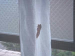 DSC01419.JPG