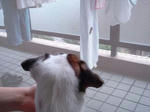 DSC01420.JPG