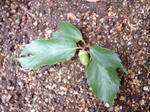 DSC01439.JPG