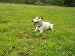 DSC01685.JPG