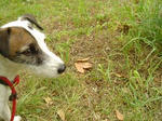 DSC01678.JPG