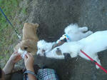 DSC02001.JPG
