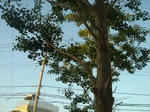 DSC02062.JPG
