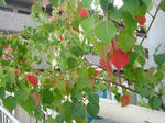 DSC02084.JPG
