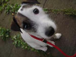 DSC02092.JPG