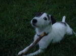 DSC02342.JPG