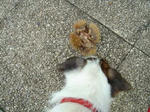 DSC02559.JPG