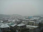 40f02652.jpg