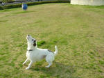 25057d29.jpg