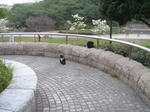 ff014511.jpg